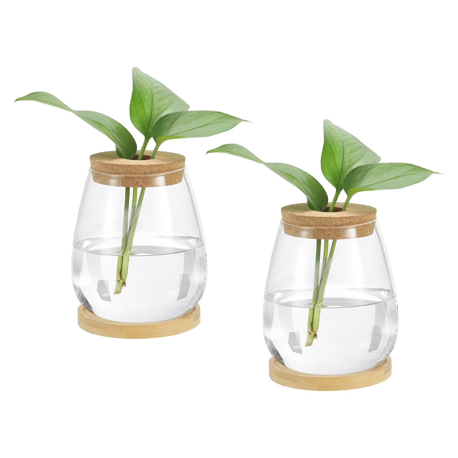 PATIKIL Plant Propagation Station Glass Vases, 2 Pack Desktop Round Planter Terrarium Vase with Wooden Tray & Lid for Hydroponic Office Home Decor Plants Indoor, Brown
