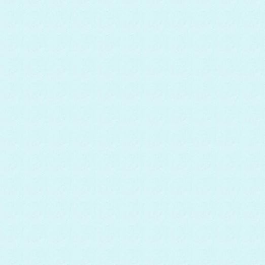 Amazon Com Carousel Designs Aqua Minky Fabric By The Yard