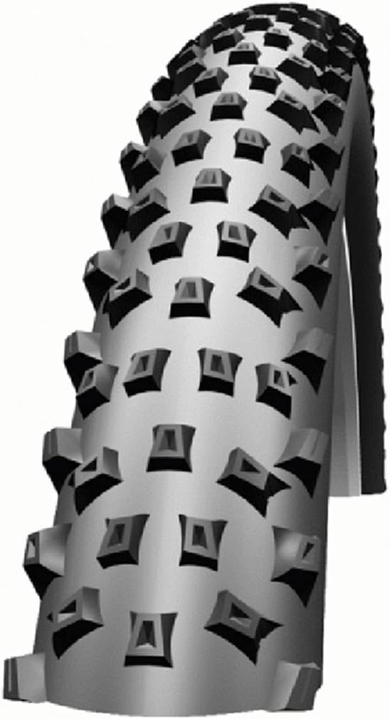 schwalbe fat albert review