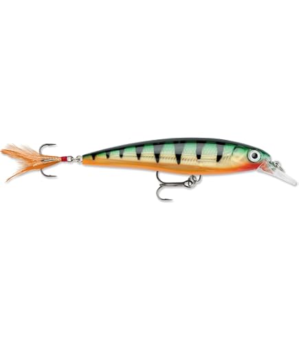 Amazon.com: Rapala X-Rap 10 Fishing Lure (Hot Head) | Slashbait