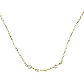 PAVOI 14K Gold Plated Astrology Constellation Horoscope Zodiac Necklace 16-18