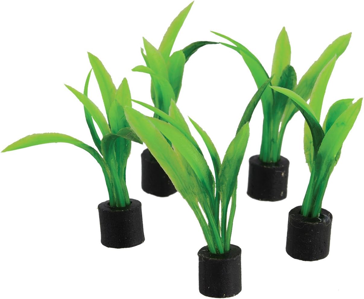 Underwater Treasures Mini Plant Sword - Large - 2.75" - 5 pk