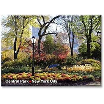 Central Park Fall - New York City Photo Souvenir Refrigerator Magnet - NYC Fridge Magnet