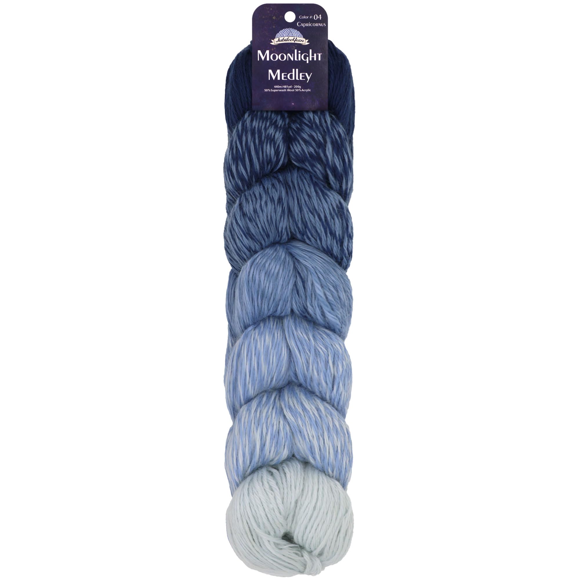 JubileeYarn Moonlight Medley Yarn - Ombre DK Weight Merino Wool/Acrylic - 200g/Hank - Aquarius - 1 Skein