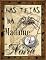 Livro Nas teias da madame Nória