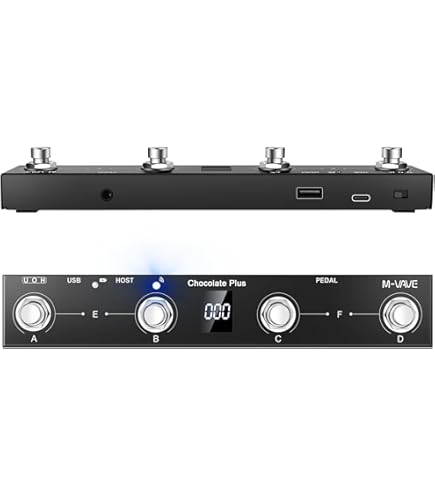 Amazon.com: Roland FC-300 Twin Expression MIDI Foot Controller (FC