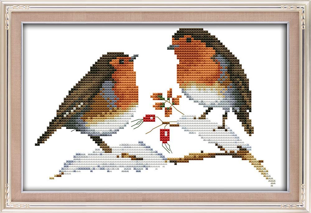 CaptainCrafts Cross Stitch Kits Stamped Preprinted Fabric DMC DIY Art Embroidery Kits for Adults Beginners Gift Home Decor Two Little Birds (Preprinted 11CT, Two Little Birds)