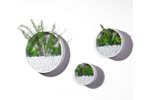 ZEETOON 3 Pack Set Modern Wall Planters Succulent Planter Circle Metal Flower Pot Indoor Air Plant Vertical Container Hanging Vase Home Decoration Size S,M,L White, with 3 Artificial Succulent Plants