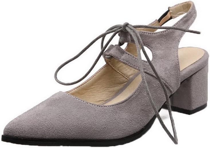 AalarDom Women's Pointed Closed Toe Lace-up Frosted Kitten-Heels Sandals