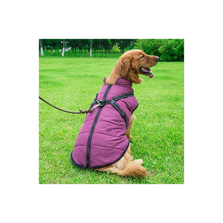 Dog Coat With Durable Harness Chest Strap Waterproof 2 In 1 Pet Autumn