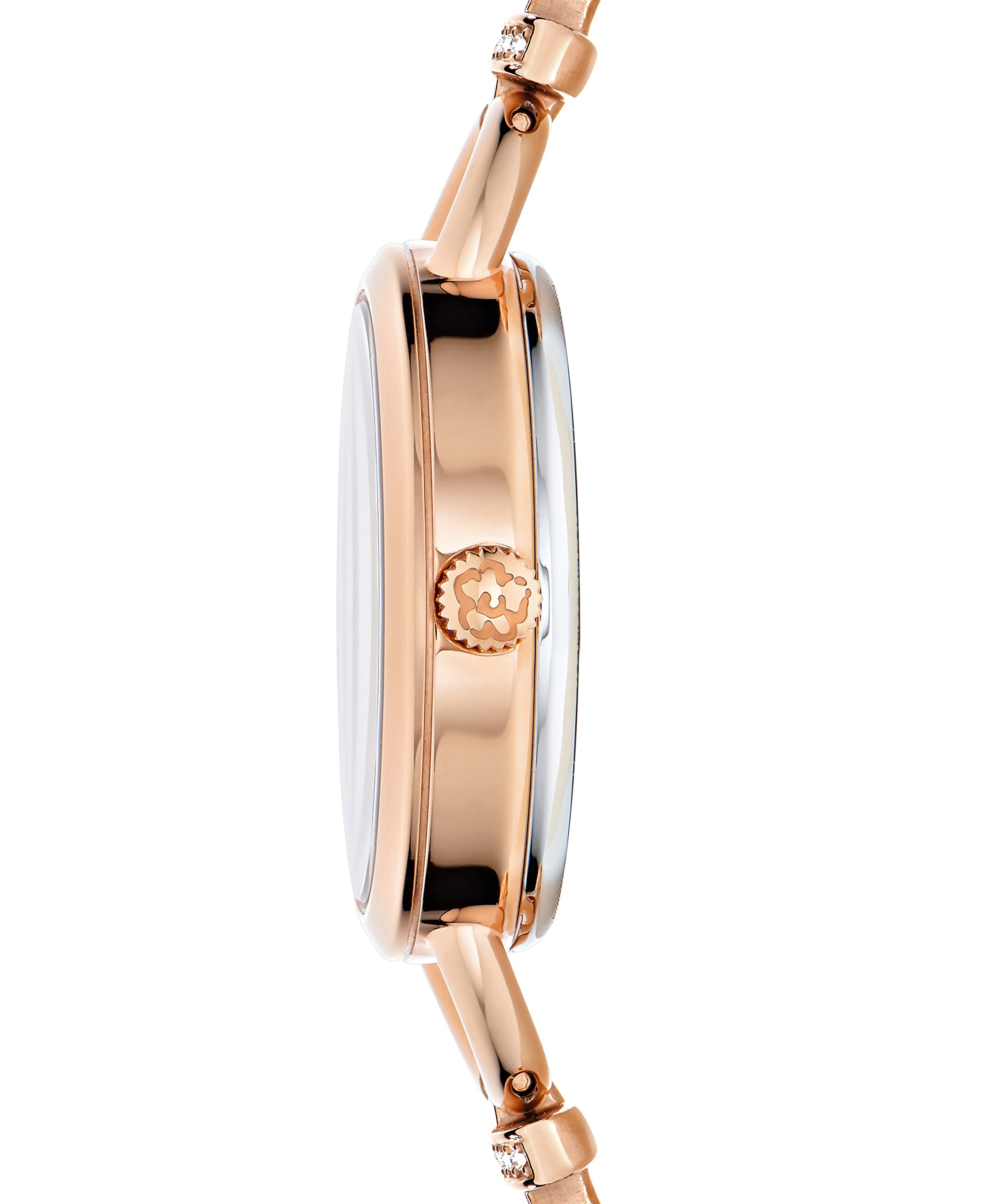 Ted Baker Ladies Stainless Steel Rose Gold Chain Bracelet Watch (Model: BKPLIS3019I)