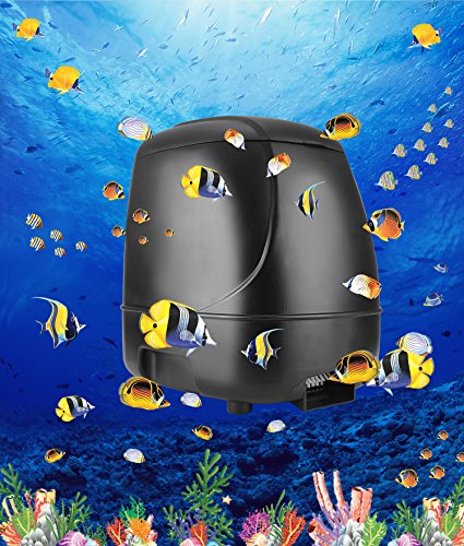 TTKTK Automatic Fish Feeder