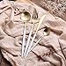 Jinsen Customized Stainless Steel Flatware Set for Home Kitchen Restaurant Hotel (White + Gold)