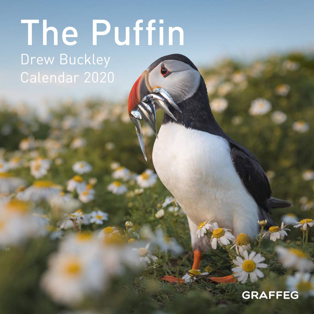 Amazon The Puffin Calendar Buckley Drew Nature Wildlife