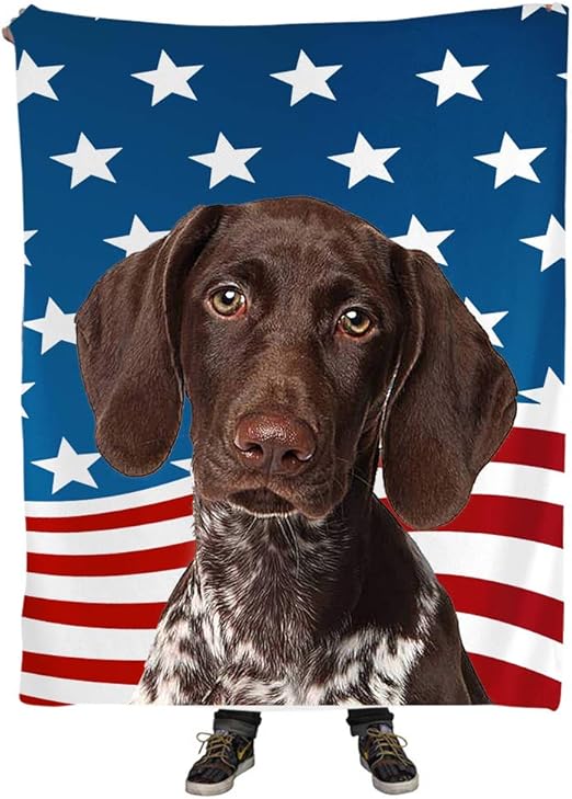 funny german shorthaired pointer pictures