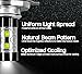 OPT7 9006 CREE XLamp LED DRL Fog Light Bulbs - 5000K Bright White @ 700 Lm per bulb - All Bulb Sizes and Colors - 1 year Warranty (Pack of 2)