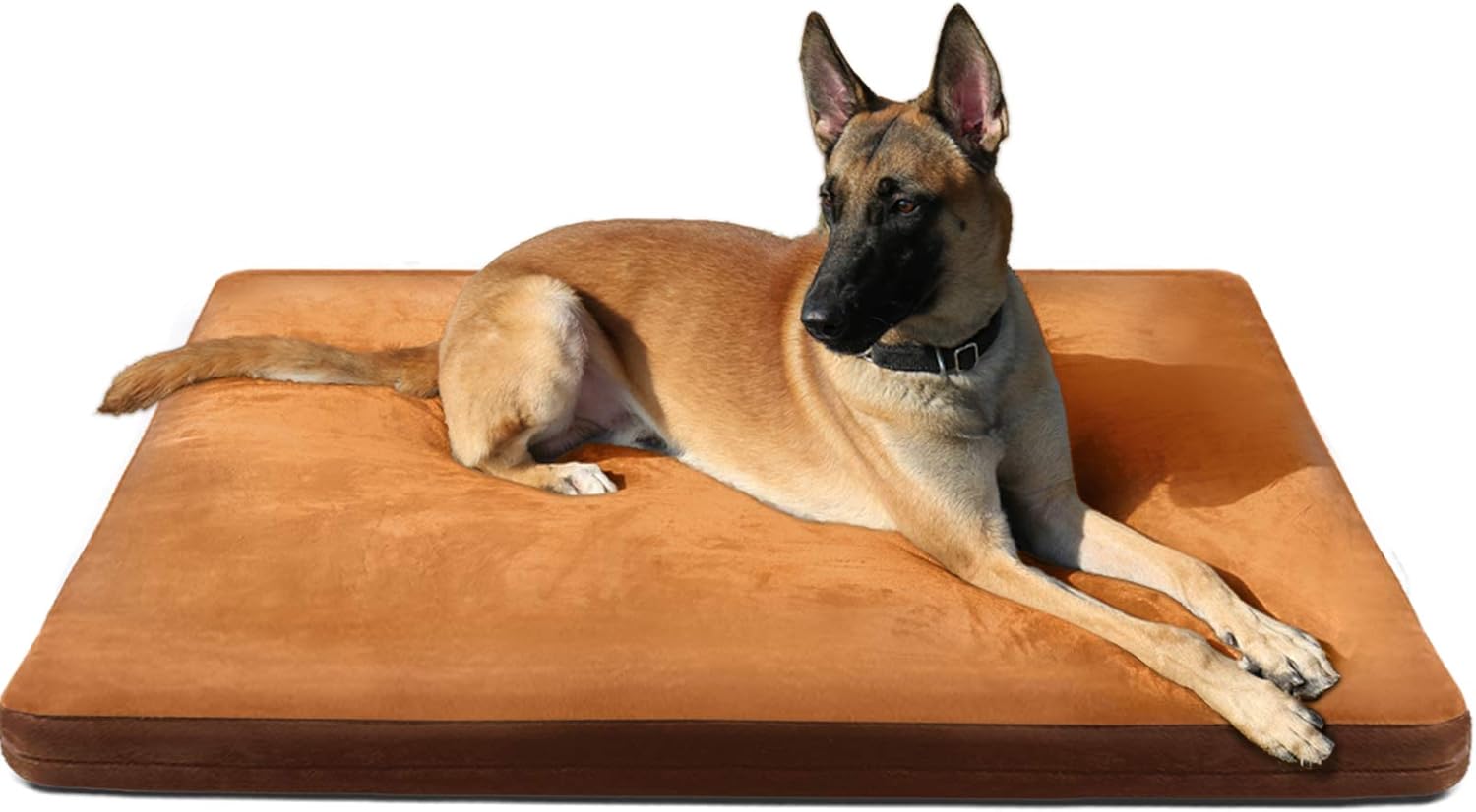cheap dog beds for big dogs