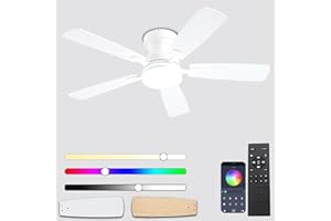 Ayaoty Ceiling Fans with Lights, 48 inch Low Profile Ceiling Fan with Light and Remote Control, Flush Mount RGB Dimmable Light, Noiseless, White Ceiling Fan for Bedroom Indoor/Outdoor Use