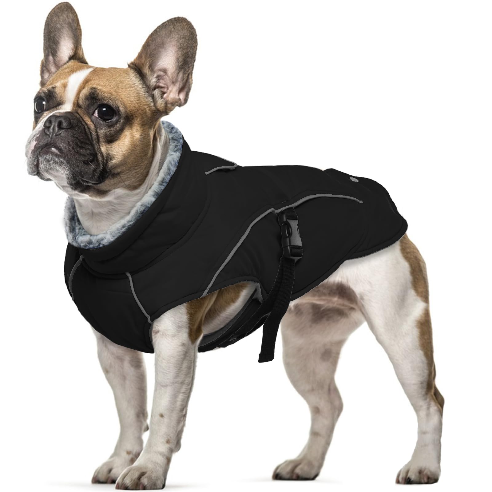 Coat for Small Dogs, Puppy Jacket Winter Outfits Warm Clothes for Small Dogs Chihuahua Winter Coats Jack Russell for Walks In Cold or Wet Weather(Black, S) — image 1