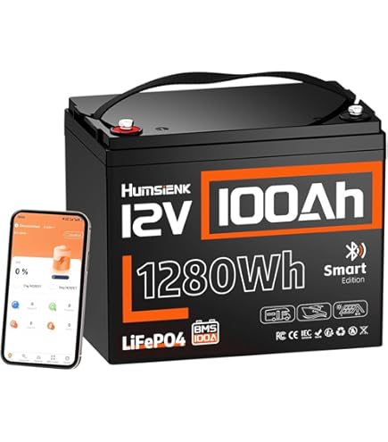 Amazon.com: 12V 100Ah LiFePO4 Lithium Battery, Built-in 100A BMS
