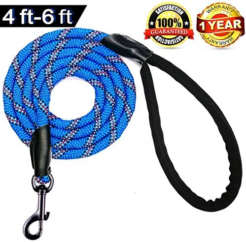 Furrytail Club 6 ft Long Dog Training Leash - Nearly 1/2 Thick Strong Dog Walking Leash - 100% Nylon Pet Leash Perfect For Medium Large Dogs(6 foot, blue)