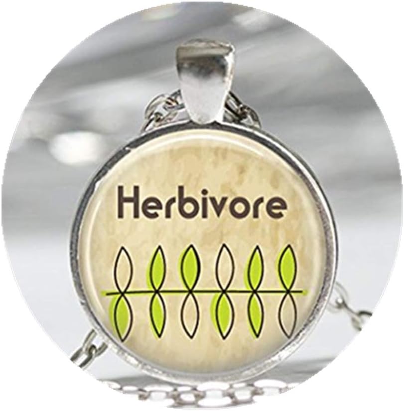 because meet you Vegetarian Jewelry Herbivore, Vegan, Organic, Plants, Earth Day Art Pendant in Bronze or Silver with Link Chain Necklace Included