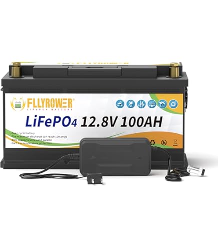 Amazon.com: FLLYROWER 12V 100AH Lifepo4 Battery with 100A BMS 10