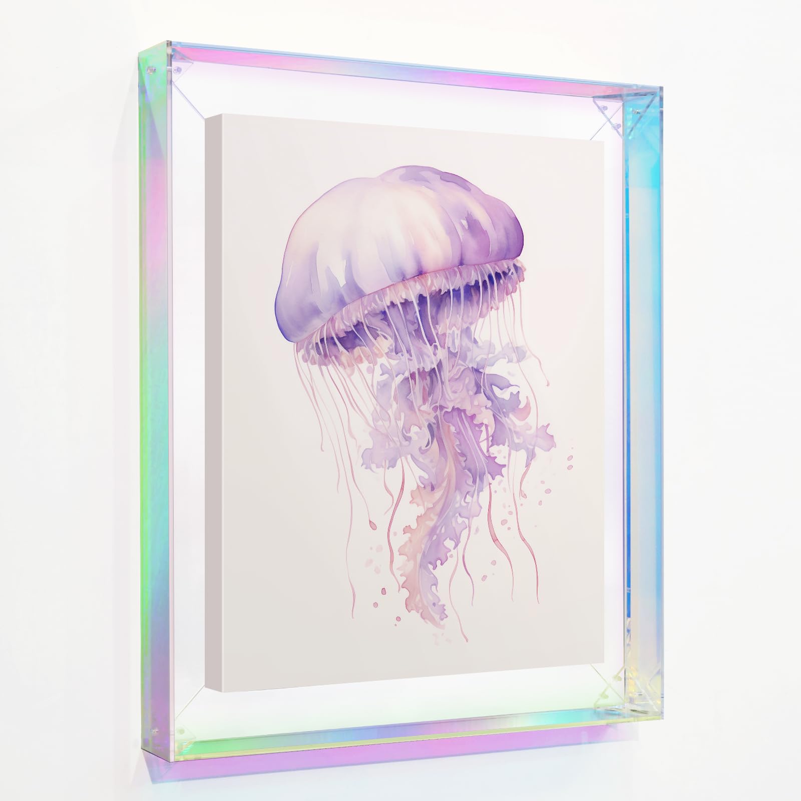 Photo 1 of FOLKOR Colorful Acrylic Canvas Frame for 16x20 Oil Paintings Art Prints, DIY Transparent Floater Frames for Plant Animal Portrait Artwork, Modern Decor for Home Office Gallery Exhibition (Rainbow)