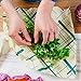 Bee's Wrap Assorted 3 Pack, Eco Friendly Reusable Food Wraps, Sustainable Plastic Free Food Storage - 1 Small, 1 Medium, 1 Large