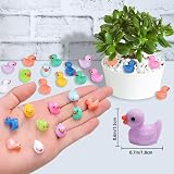 JOLCEEY 200pcs Mini Ducks Resin Tiny Ducks Aquarium Dollhouse Decor 10 Colors view 2