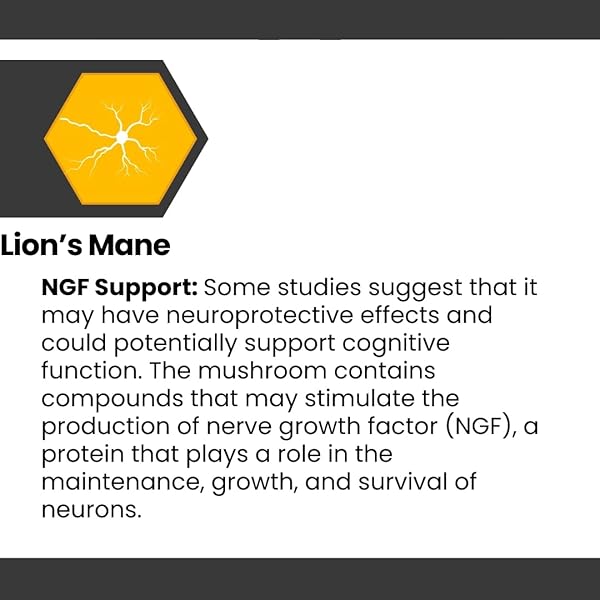 COGNISYNC NOOTROPIC BRAIN HEALTH SUPPLEMENT 60CT, 12 POWERFUL INGREDIENTS, LION’S MANE, ALPHA-GPC, COGNITIVE ENHANCEMENT, BRAIN FOG SUPPORT, MEMORY SUPPORT, SMART DRUG ALTERNATIVE