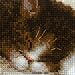 RIOLIS 1725 - Kitten on the Book - Counted Cross Stitch Kit 11.75
