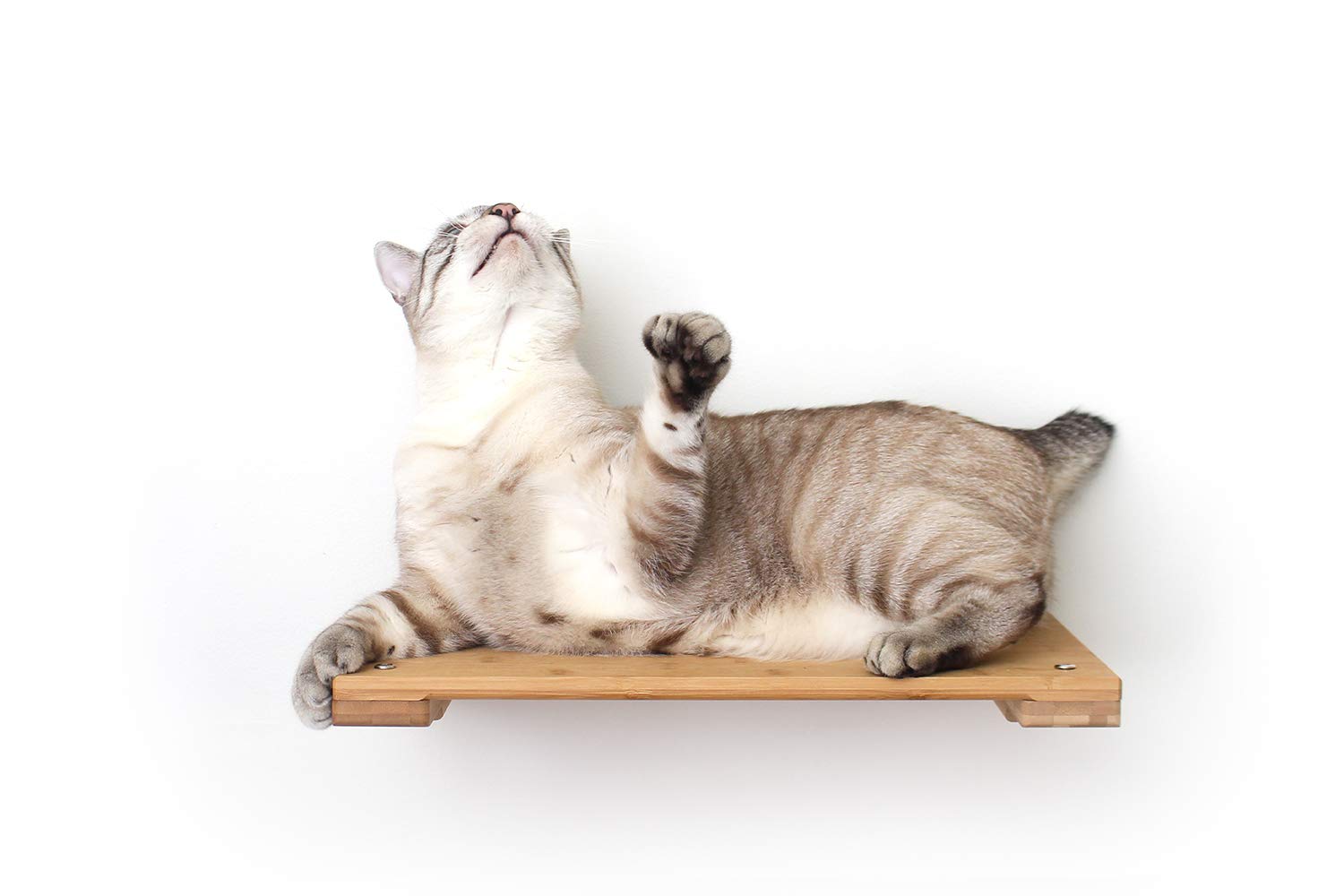 CatastrophiCreations Cat 18" Shelf Handcrafted Elevated Wall, natural bamboo, one size