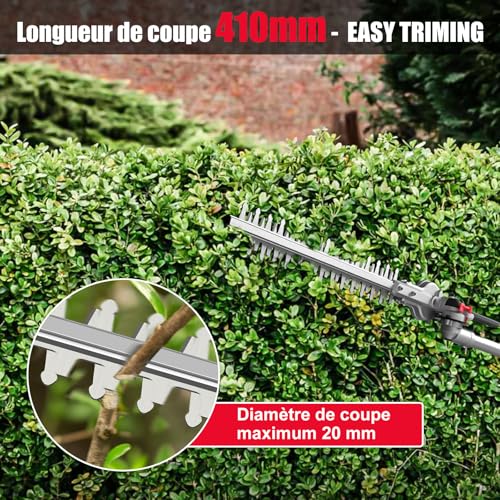 HYCHIKA Electric Telescopic Hedge Trimmer 900 W, Pole Pruner, Electric Hedge Trimmer, Extendable 200-250 cm, Double Switch and Double Handle, for Trimming Hedges and Shrubs