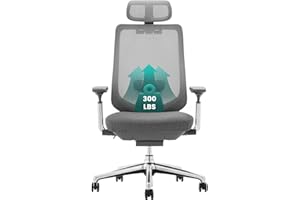 COLAMY Ergonomic Mesh Office Chair, High Back Office Chair, Computer Executive Desk Chair with Lumbar Support,Adjustable Headrest and 4D Arms, Slide Seat, Tilt Lock-Darkgrey New