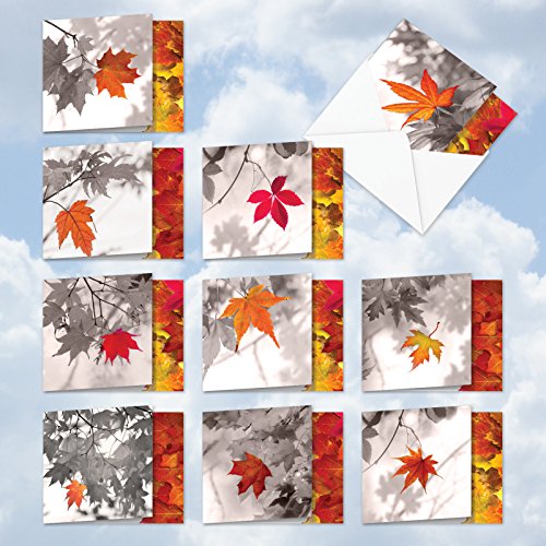 image for The Best Card Company MQ4629OCB-B1x10 Autumn Leaf: 10 Assorted Set of 