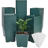 June Fox 100 Pack Green Square Nursery Pots with Drainage Holes 3.3 Inches Flexible Plastic Seedling Pots Square Pots for Plants, Succulent, Flower, with Plant Labels