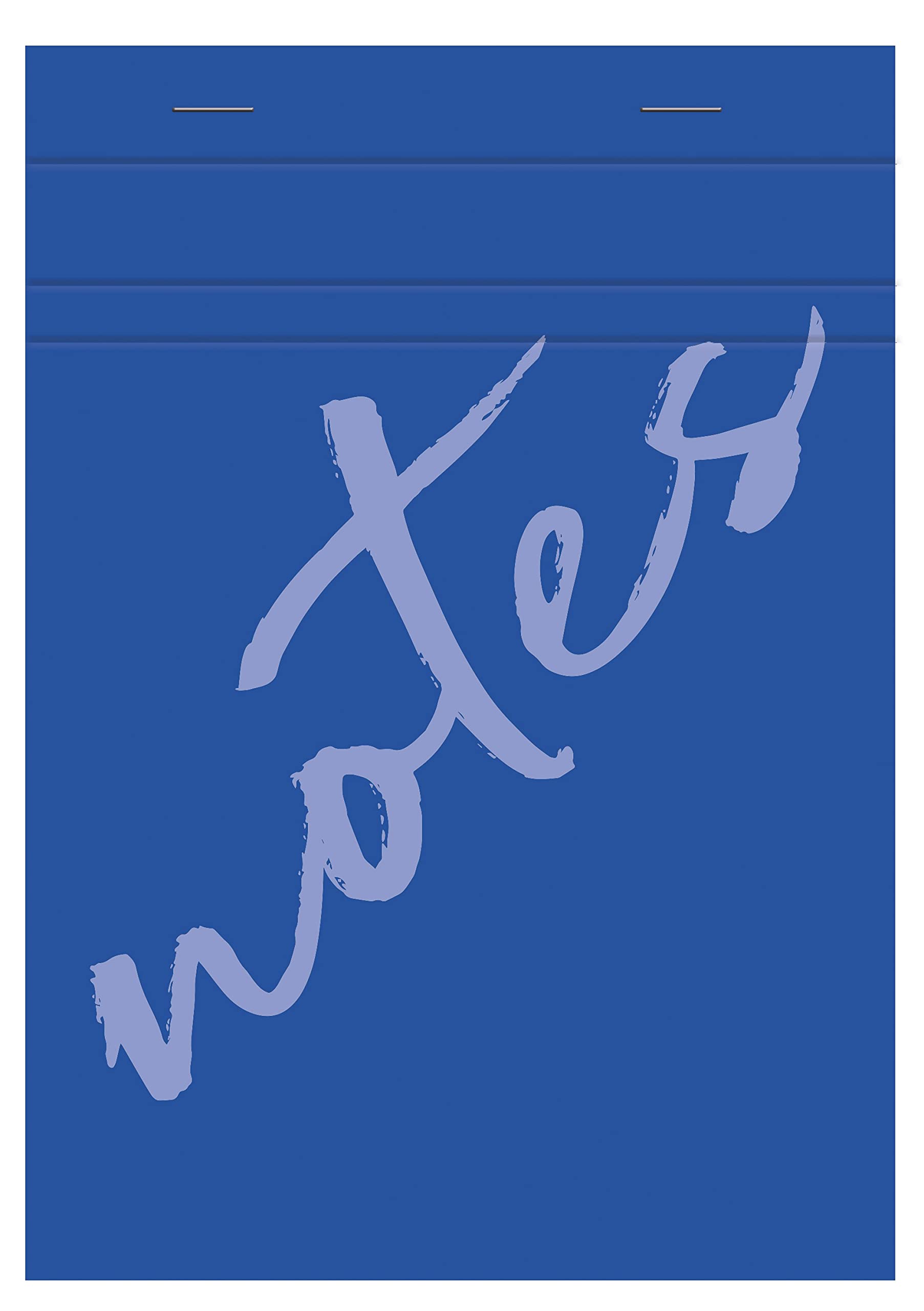 Calligrapher 15355C A Set of 5 Blue Stapled Top Notepads (a Clairefontaine Brand) - A5 14.8x21 cm - 100 Small Square Sheets - 60 g Paper - Semi-Enveloping Cover