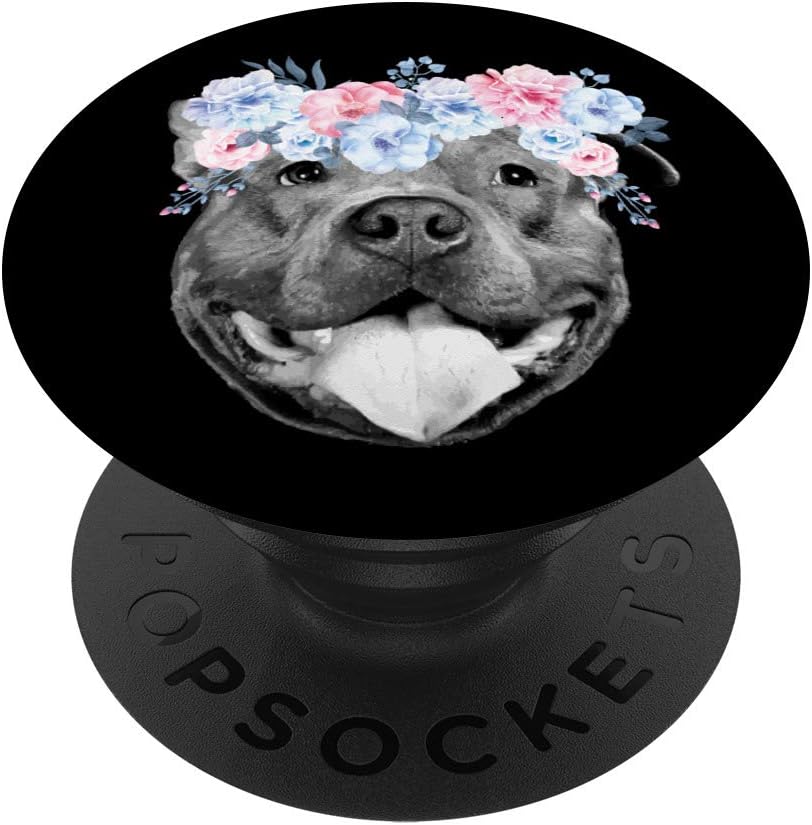 black pitbull for adoption