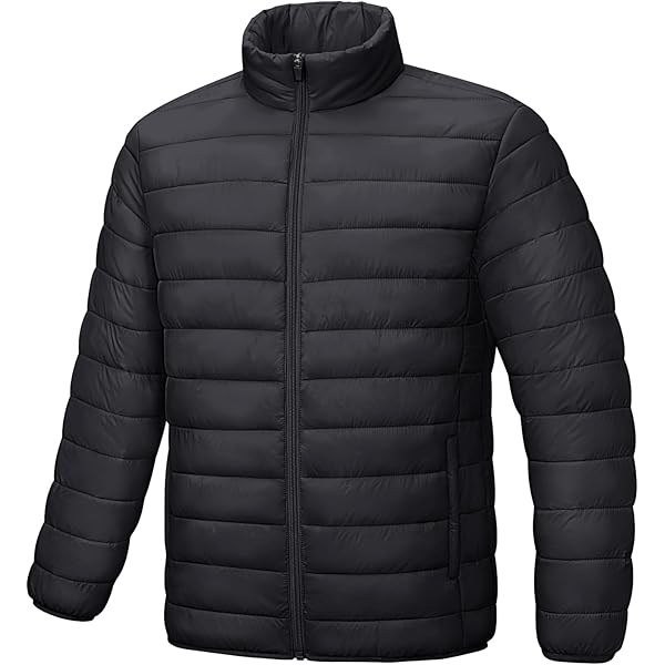 ［todayful］stand collar down jacket Men's Stand Collar Down Coat Full-Zip Lightweight Puffer