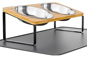 SUMMARK Elevated Whisker Friendly Cat Bowls, 15 Tilted Stand Anti Vomiting Raised Dishes for Food and Water, Stainless Steel Bowls for Cats and Puppy