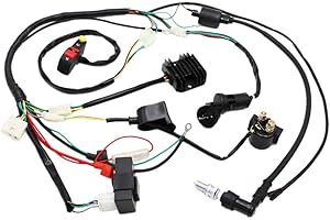 Complete Electrics Wiring Harness D8EA Spark Plug CDI Ignition Coil Kits for Chinese Dirt Bike 150cc 200cc 250cc Zongshen Lon