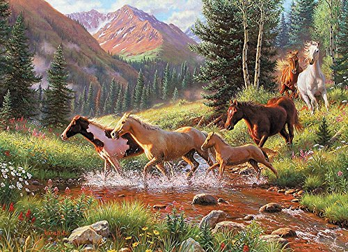 Horse Stream
