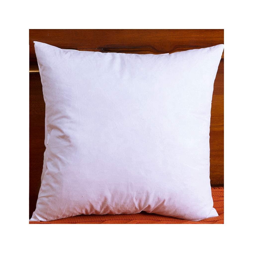28x28 down pillow insert