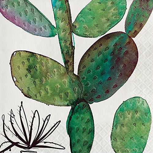 Elise 325060 Southwest Pattern 3-Ply Luncheon Paper Napkins, Cactus