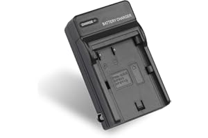 RAINY KING BP-511 BP-511A BP-508 BP-512 BP-522 BP-535 Battery Charger for Canon EOS 10D, EOS 20D, EOS 20Da, EOS 300D, EOS 30D, EOS 40D, EOS 50D, EOS 5D, EOS D30, EOS D60, EOS Digital Rebel, EOS Kiss Digital