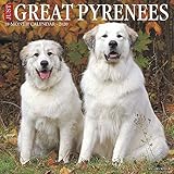 Just Great Pyrenees 2020 Wall Calendar (Dog Breed Calendar) by