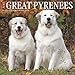 Just Great Pyrenees 2020 Wall Calendar (Dog Breed Calendar) by