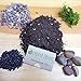 Premium Kit for Small Terrarium (Succulent, Cactus, and Fairy Garden)