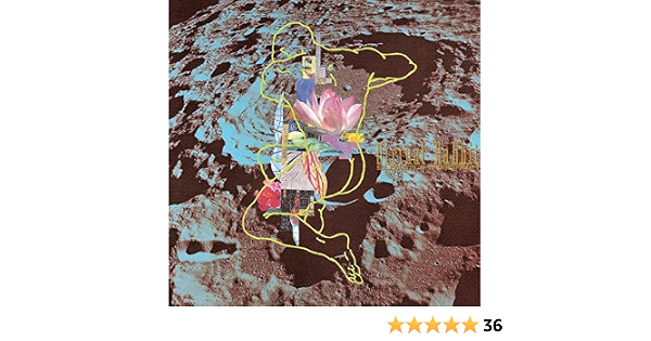 Amazon Com Virtual Rabbit Cds Y Vinilo